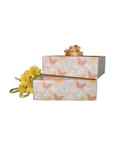 9x6x3 Butterflies #SmileMail Designer Box